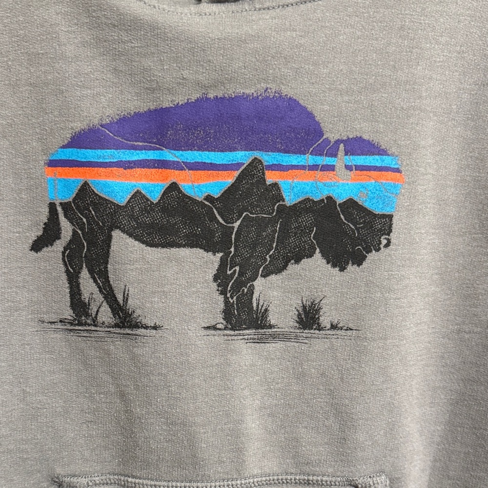 Patagonia youth Gray Hoodie with Buffalo - Picture 3 of 4